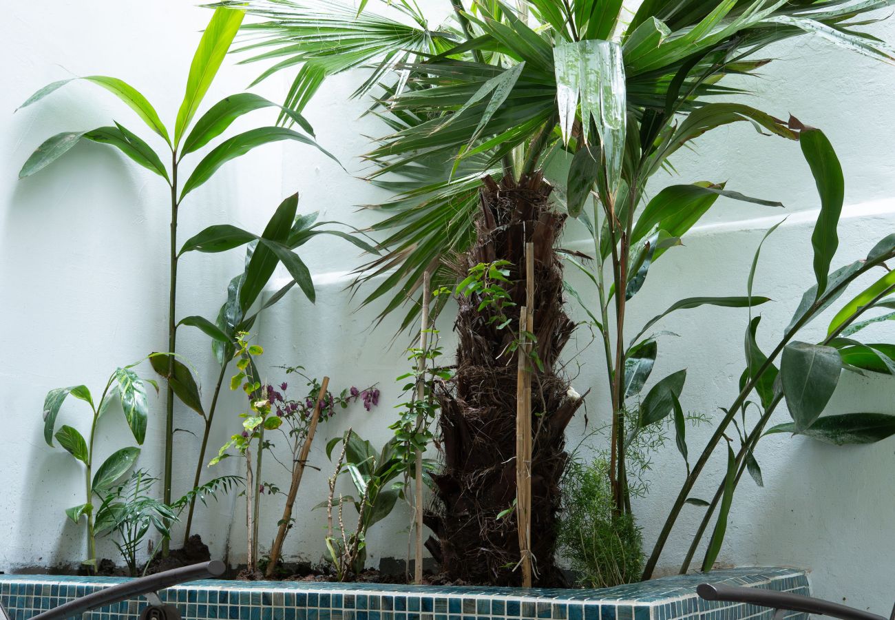 Apartamento en Tanger - Casa Verdi avec Terrasse 1 Chambre Salon